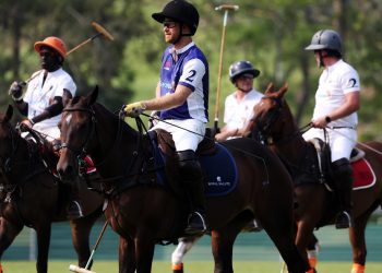 Il ‘Polo’ dei Sussex: un altro pasticcio