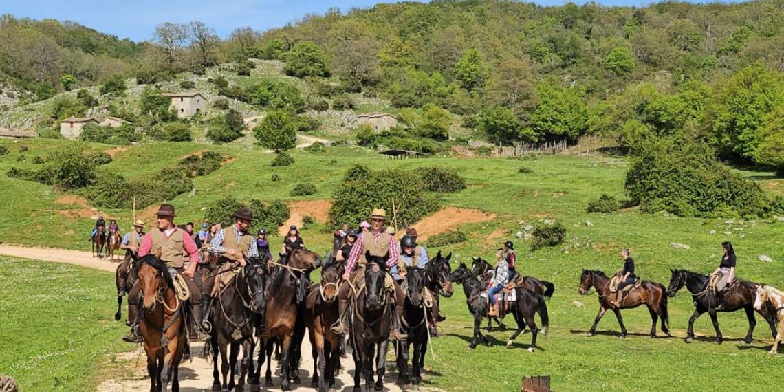 Da Cottanello a Fieracavalli con i Tolfetani