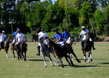 Torna il polo che fa bene