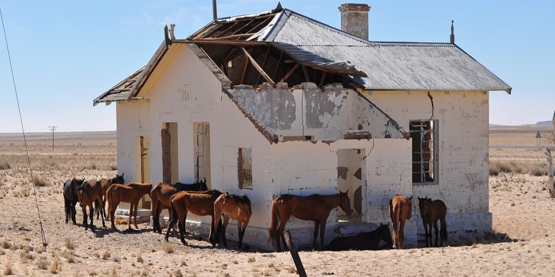Resting next to the decrepit German colonial train station Garub between Aus and Lüderitz. They are thought to be descendants of horses abandoned by German soldiers during WW1, photo Raymond June from Wiki Commons
