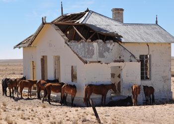 Resting next to the decrepit German colonial train station Garub between Aus and Lüderitz. They are thought to be descendants of horses abandoned by German soldiers during WW1, photo Raymond June from Wiki Commons