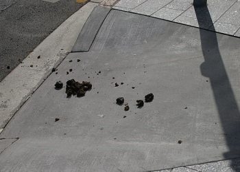 Sondrio: il bel pulir (le fiante) non fu mai fatto