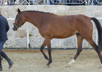 Siciliani al G7 di Ortigia