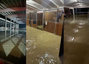 Alluvione al centro ippico Botteghino