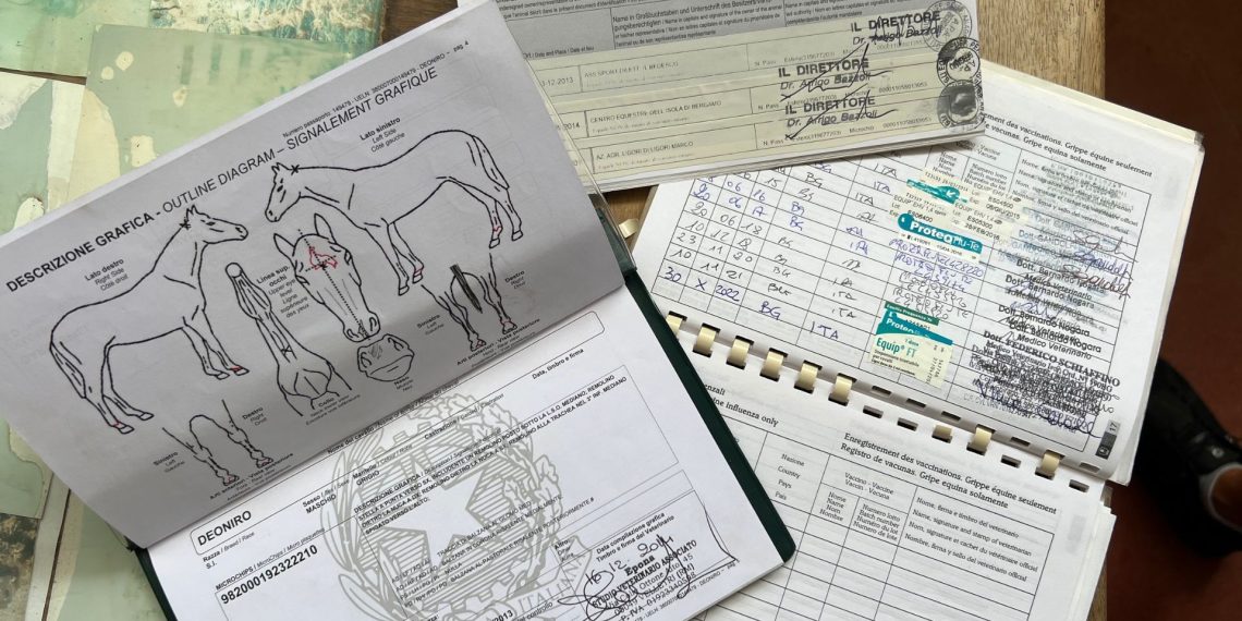 Ecco lo SLID, il documento di identificazione del cavallo visto ai raggi X