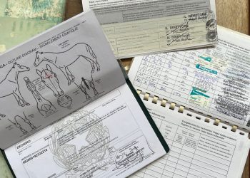 Ecco lo SLID, il documento di identificazione del cavallo visto ai raggi X