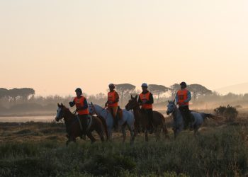 Endurance Festival: ad Arborea 29 nazioni per i campionati europei e mondiali
