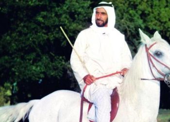 Abu Dhabi: cavalli e quartieri