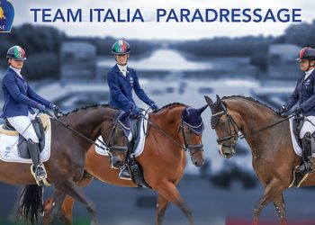 Paradressage: è tempo di squadra