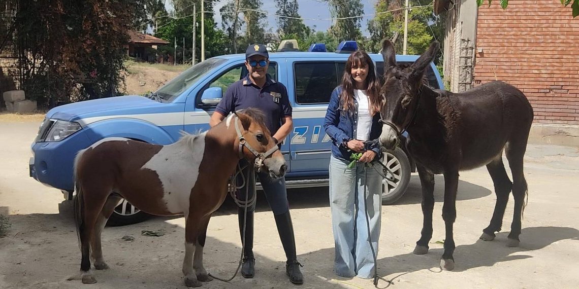 Lieto fine a Catania: asina e pony rubati ritrovati dalla Polizia!