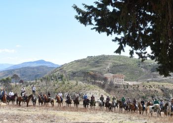 Segesta: Sicilia, un’isola in sella