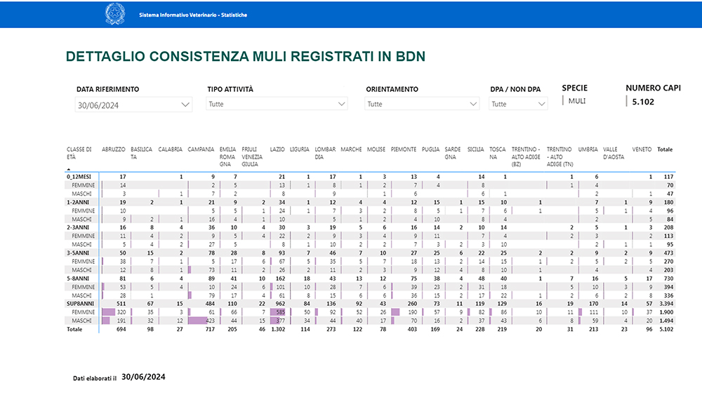 consistenza copia