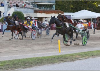 Il GP Continentale: Arcoveggio in festa
