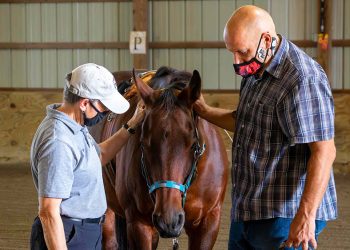 Stress post-traumatico: il cavallo aiuta