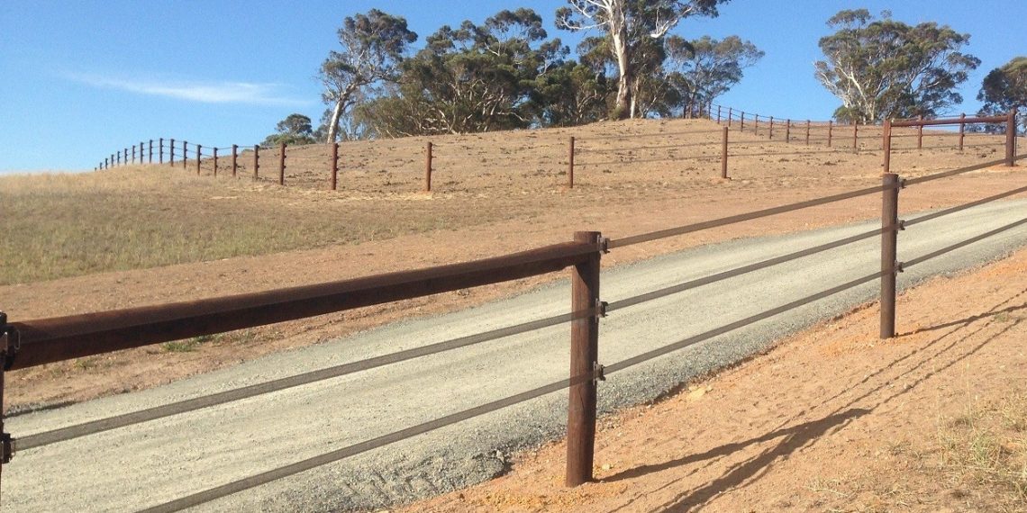 Badi Farm è il mondo del cavallo… e non solo
