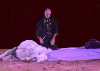 Il cavallo è uno spettacolo