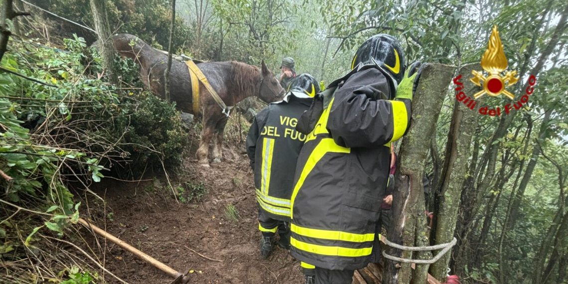 Torino: Calì torna a casa…accompagnata