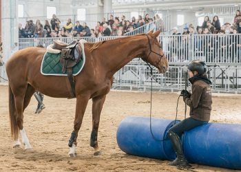 Il benessere va in Fiera