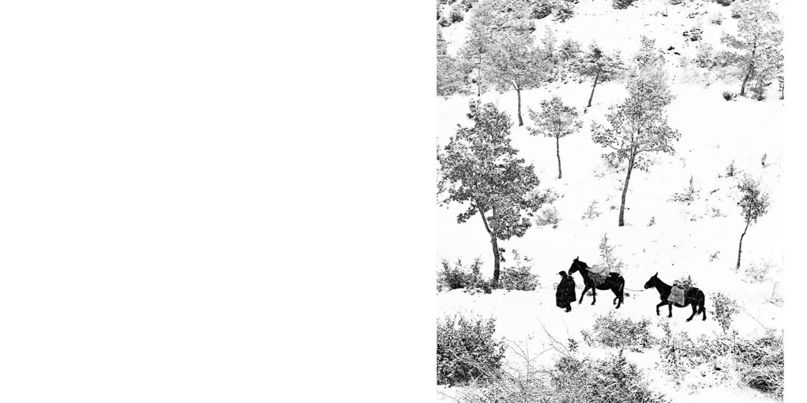 L’Umbria di Roiter: una storia d’amore
