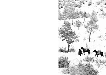 L’Umbria di Roiter: una storia d’amore