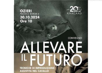 Ozieri: un convegno per i 20 anni di  ANACAAD