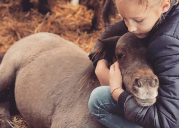 A Fieracavalli… Mini Pony for You