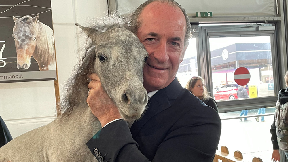 Mini Pony Summano 5