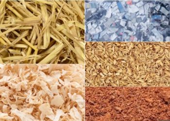 Come predisporre la lettiera migliore per i nostri cavalli