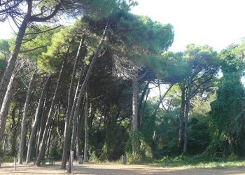 Lucca: agenti a cavallo della polizia municipale fermano due pusher