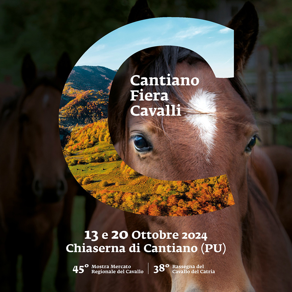 cantiano fiera cavalli ott2024