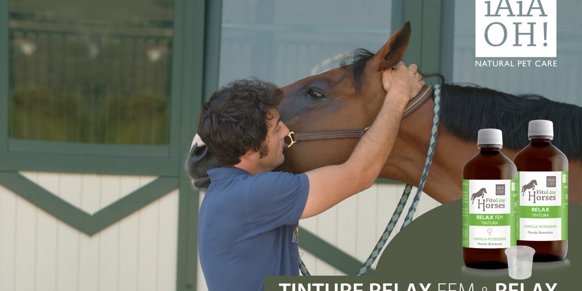Stress emotivi del cavallo: la soluzione naturale