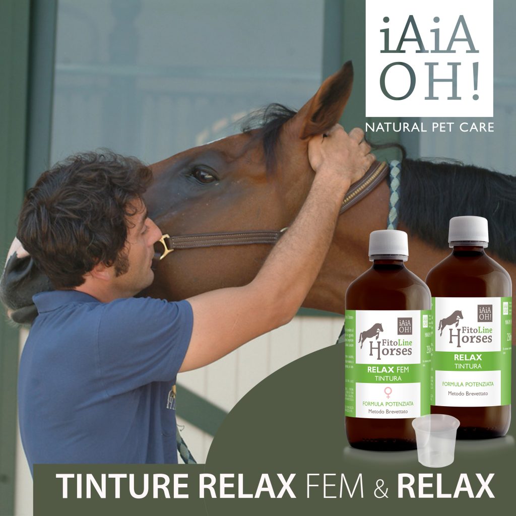 cavallo tinture square 1024x1024