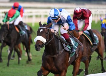 Dario Di Tocco e l’Alma Racing di Allegri protagonisti nel Champions Day