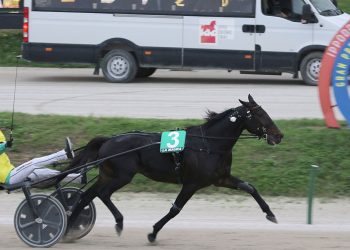 Il grande trotto a Milano con il GP Delle Nazioni