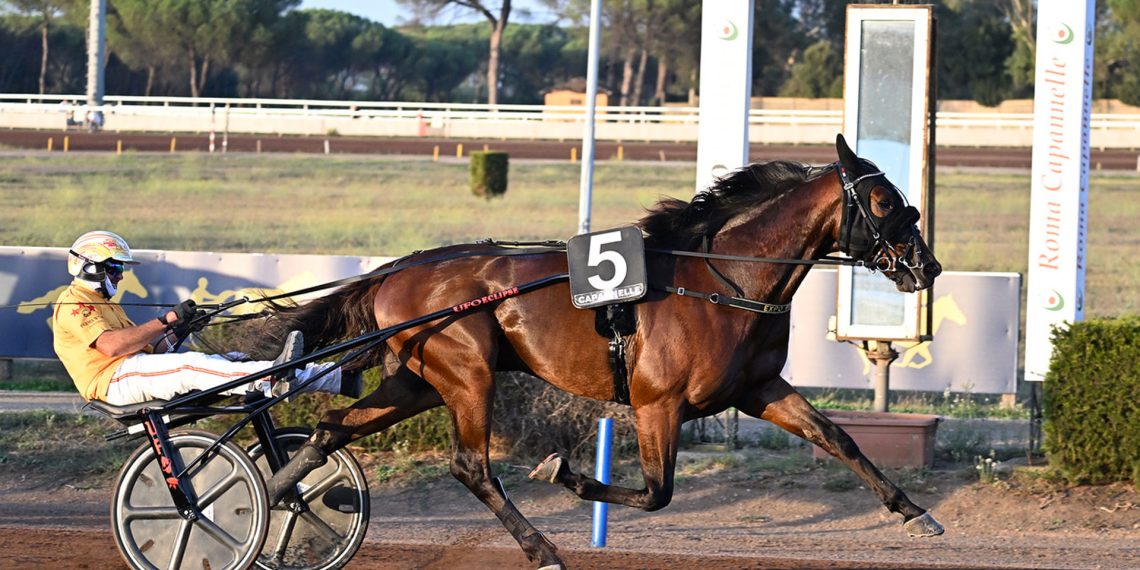 Il Derby Italiano del Trotto