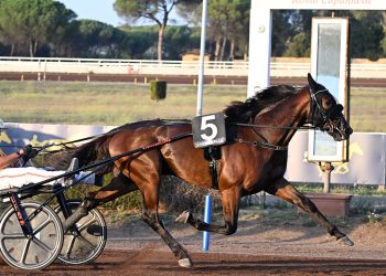 Il Derby Italiano del Trotto