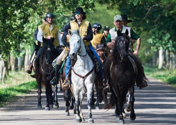 Final Furlong mette al centro il cavallo