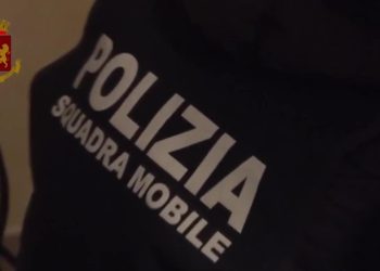 Catania, la Polizia trova 6 scuderie abusive