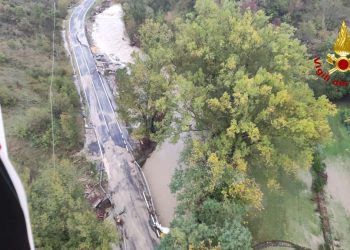 Alluvione: 7 cavalli salvi su 10 in una scuderia di Pianoro