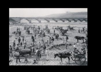 Scariolantio e cavalli sul greto del fiume Secchia, nel modenese - foto archivio panini
