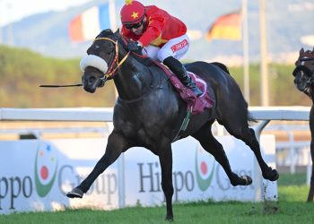 Roma Caput Turf
