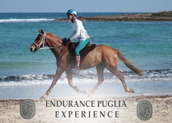 L’Endurance Puglia Experience di Torre Guaceto