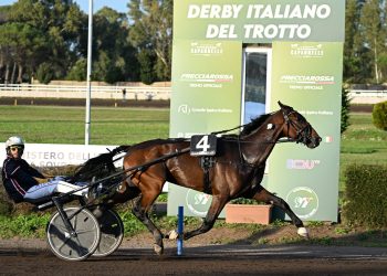 Trionfo di First of Mind nel Derby di Trotto