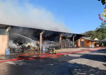 Biella: va a fuoco il maneggio, salvano tutti i cavalli