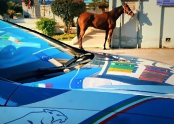 Corse clandestine: noi ci riproviamo…