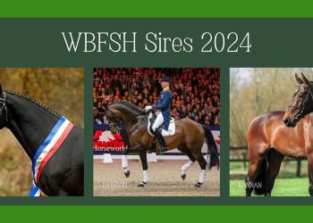 WBFSH: I grandi padri del 2024