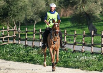 Ambelia Endurance: a Braido il CEI1*