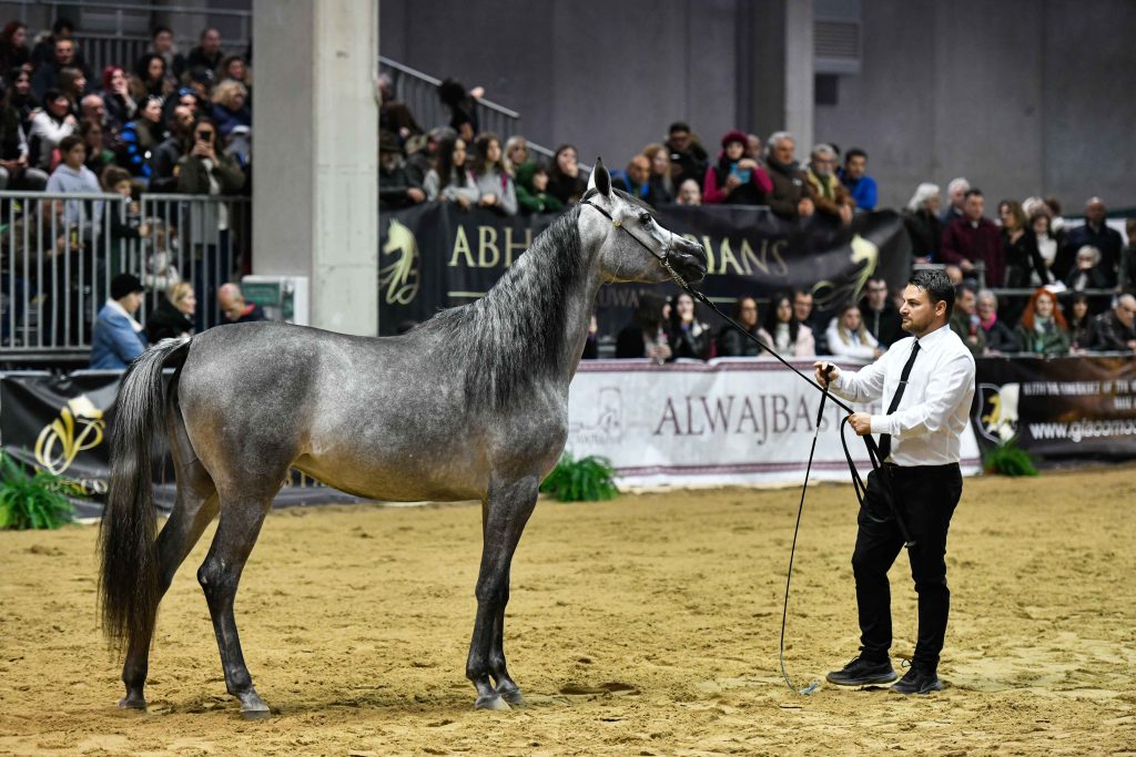 Fieracavalli2023 EnneviFoto Veronafiere  TDP4986 1024x683