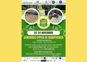La solidarietà scende in campo a Verolanuova