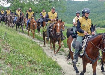 Parchi a cavallo: gran finale a Verona